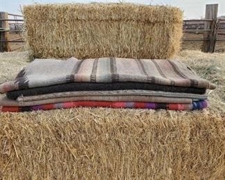 170
Five Saddle Blankets
Five Used Saddle Blankets