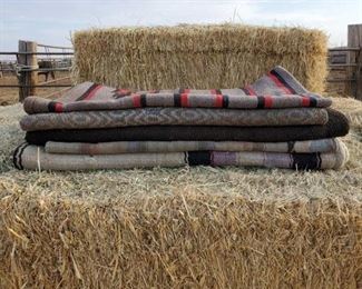 172
Five Saddle Blankets
Five Used Saddle Blankets