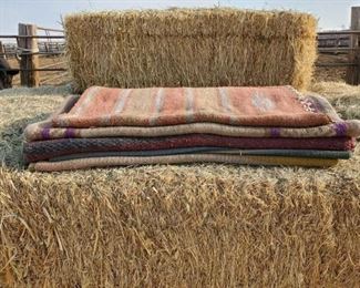 175
Five Saddle Blankets
Five Used Saddle Blankets