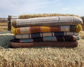181
Five Saddle Pads
Five Used Saddle Pads