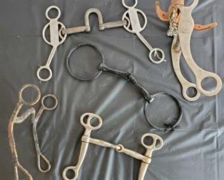 142
Five bits, Correctional, Curbs and Snafffles
Five bits, Correctional, Curbs and Snaffle Bit