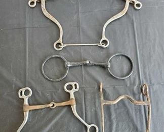 145
Two Snaffles, Cowboy Curb and a Hackamore Bit
Two Snaffles, Cowboy Curb and a Hackamore Bit