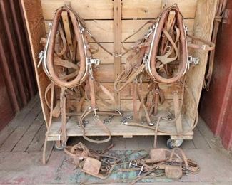 305
Double Complete New Harness Leather Horse Size Harness with Bridles and Collars
Double Complete New Harness Leather Horse Size Harness with Collars. New condition
All complete with bridles, collars, reins and harness
Ready to put on a team and hook to a wagon