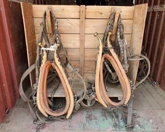 306
Draft Horse Harness for a Team with Collars
Set of Draft Horse Harness for a Team with Collars.
Ready to hook up a team with Silver studded leather Harness
Harness is in good condition
Harness is dusty in pictures