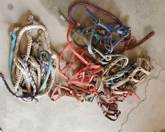 450
Bundles of Foal and Baby Halters and Lead Ropes
Bundles of Foal and Baby Halters and Lead Ropes