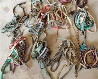 453
Large Lot of Webbed Halters and Lead Ropes too many to count !!
Large Lot of Webbed Halters and Lead Ropes
Too many to count !!