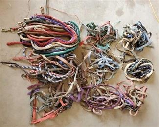 454
Large Lot of Webbed Halters and Lead Ropes
Large Lot of Webbed Halters and Lead Ropes
Too many to count !!