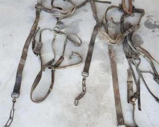 313
Double Up Draft Horse Harness with Siler Studs, Hames and Four Draft Headstalls
Double Up Draft Horse Harness with Silver Studs, Hames and Four Draft Headstalls. No collars. Three bridles and a leather halter
