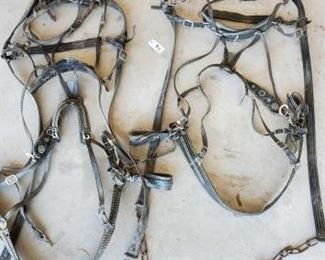 312
Double Up Draft Horse Harness and Hames
Double Up Draft Horse Harness and Hames. No collars included. Looks like most of the harness is in tact. This harness has a lot of black patent leather.