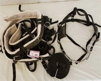 315
New Nylon Training Horse Harness, Bridle and Reins
New Nylon Horse Training Harness, Bridle and Reins
Tags still on.
Size Large