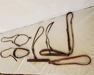 356
Tie Downs Galore
Tie Downs Galore
4- Tie downs one w/ Tie down strap