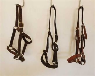 357
3-Harness Leather Horse Size Halters
3-Harness Leather Horse Size Halters