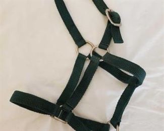 374
New Small Horse Nylon Halters
New Small Horse Nylon Halters
New in bags
Small nylon horse halters
50 count + or -