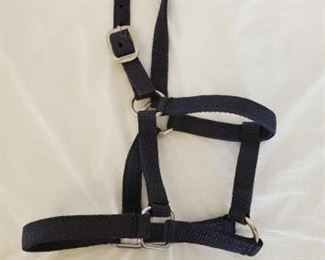 374
New Small Horse Nylon Halters
New Small Horse Nylon Halters
New in bags
Small nylon horse halters
50 count + or -
