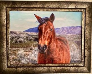 36	

"Freddy" Print on Canvas by Rhonda Graham. Lot # 16 in Auction
"Freddy" Print on Canvas by Rhonda Graham.  Freddy is the horse in Lot # 16 in the auction.  The size is  20" x 16" canvas print including frame.  This is Freddy, in his winter coat is one of our saddle horses that is always the first to get his pic taken.  Print is signed and dated.  Included is a letter of authenticity  and a story of when this was taken.