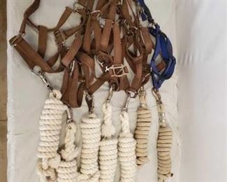 535
Horse Halters and Lead Ropes
Lot of Nylon Horse Halters and Lead Ropes:
15- NYLON Webbed Horse Size Halters
5- Lead Ropes
Appear to never of been used, just stored.