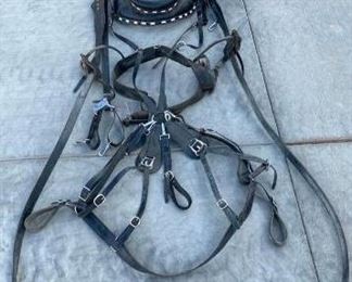304
Single-up Like New Patton Leather Horse harness Complete with 2- Different Sized Collars
This is a very nice harness and hardly been used.
Complete Single-up Like New Patton Leather Horse harness with two Different size Collars. Has 2-Bridles, lines and extra parts. See collar sizes in the pics.