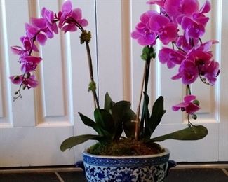 Pretty arrangement of Orchids in Blue and White Planter