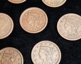 Large Cent Collection