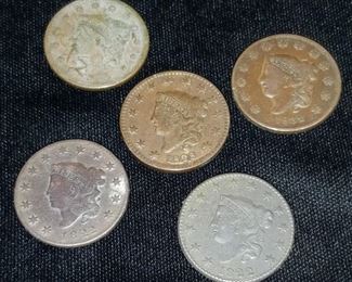 Large Cent Collection