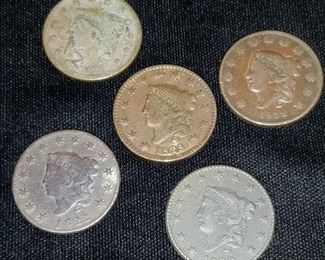 Large Cent Collection