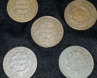 Large Cent Collection