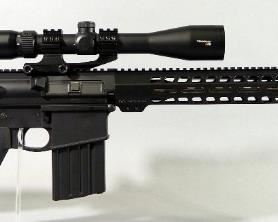Palmetto State Armory PA-10 .308 WIN Rifle SN# PF033896, With Trophy X30 4-16x30 Scope, Adjustable Stock, And SS Barrel
