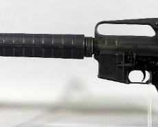 Palmetto State Armory PA-15 5.56 NATO Rifle SN# LW 164073, No Mag
