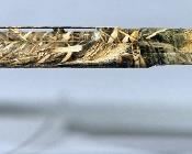 Benelli Affinity 3 12 ga Shotgun SN# BL60679N17
