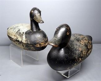 Wood Duck Decoy Collection, Qty 6
