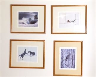Various Artist Signed Wood Framed Nature Pictures

