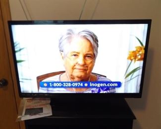 VIZIO 32" LED TV Model #E320-A0 with Remote
