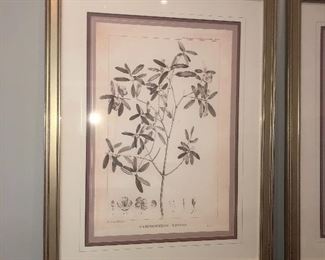 Great looking silver leaf frames on these prints