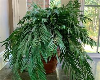 Item 101: Faux Cycas Palm: $95