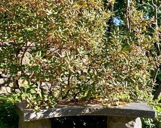 Item 30: Granite bench with polished top - 42.5”l x 18”w x 17”h: $325