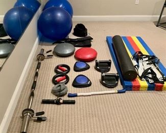 Item 221: Assorted gym equipment: $85