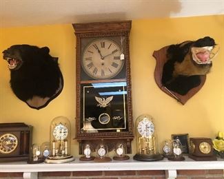 Clocks, pocket watches and taxidermy