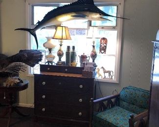 Furniture, home decor and home goods And Taxidermy