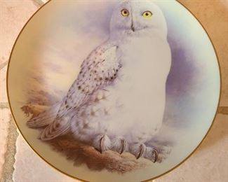 The Snowy Owl by Raymond Watson
