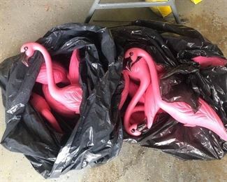 Pink yard flamingos 