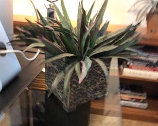 silk plants