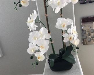 silk orchid