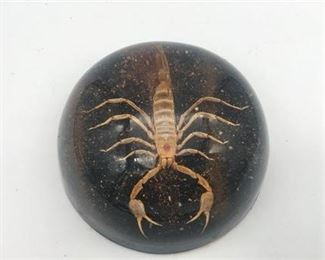 Lot 161
Scorpion Paperweight