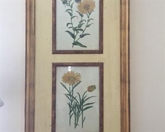 Pair of Beautiful Le Mache’ Botantical Prints 
     Height  44”
     Width   22”