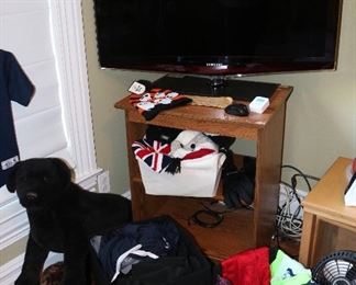 Pinnies and Sporting Clothes