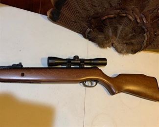 Gamo pellet gun Spain