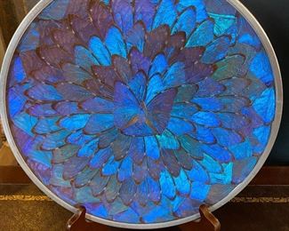 Butterfly Wing Plate
