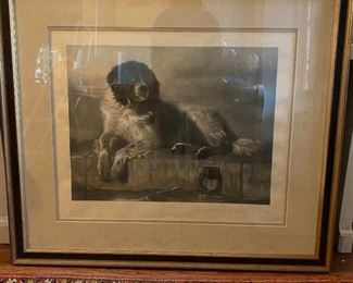 "A Distinguished Member of the Humane Society"