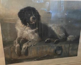 "A Distinguished Member of the Humane Society"