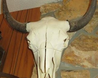 2 Large Bull Buffalo Bison Skull Mounts 